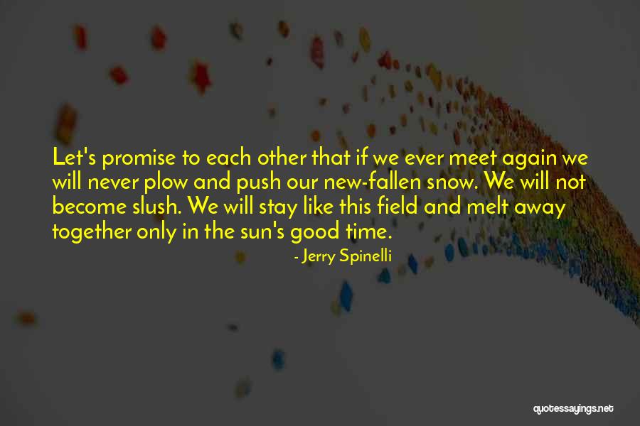 Slush Quotes By Jerry Spinelli