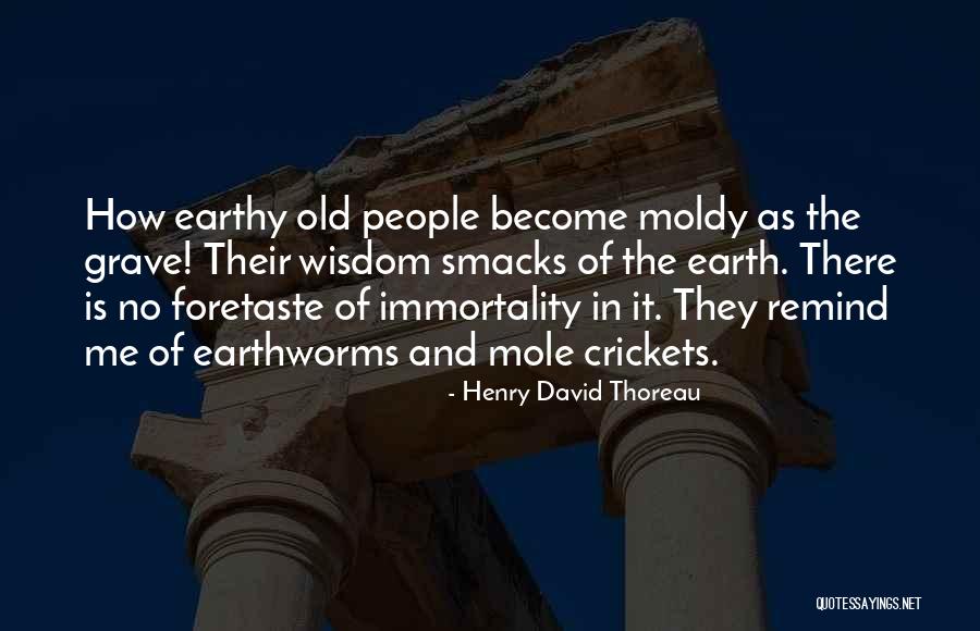 Smacks Of Quotes By Henry David Thoreau Smacks Of Quotes By Henry David Thoreau