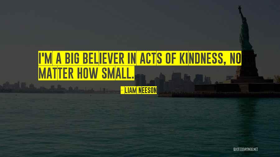 Small Acts Kindness Quotes By Liam Neeson