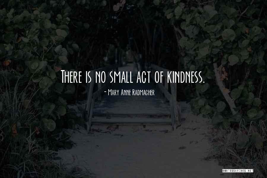 Small Acts Kindness Quotes By Mary Anne Radmacher