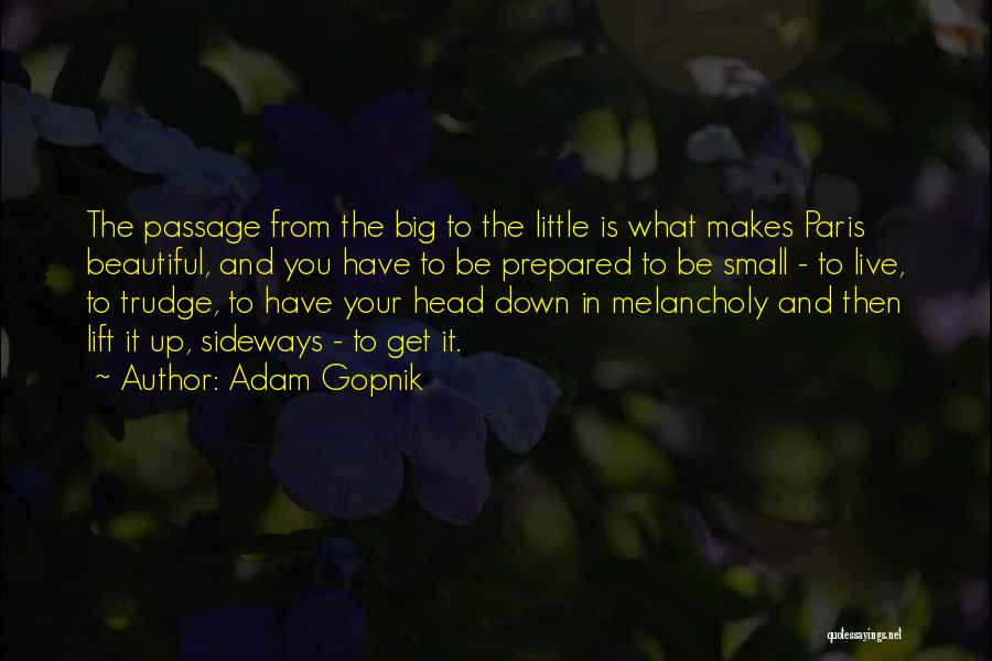 Small And Big Quotes By Adam Gopnik