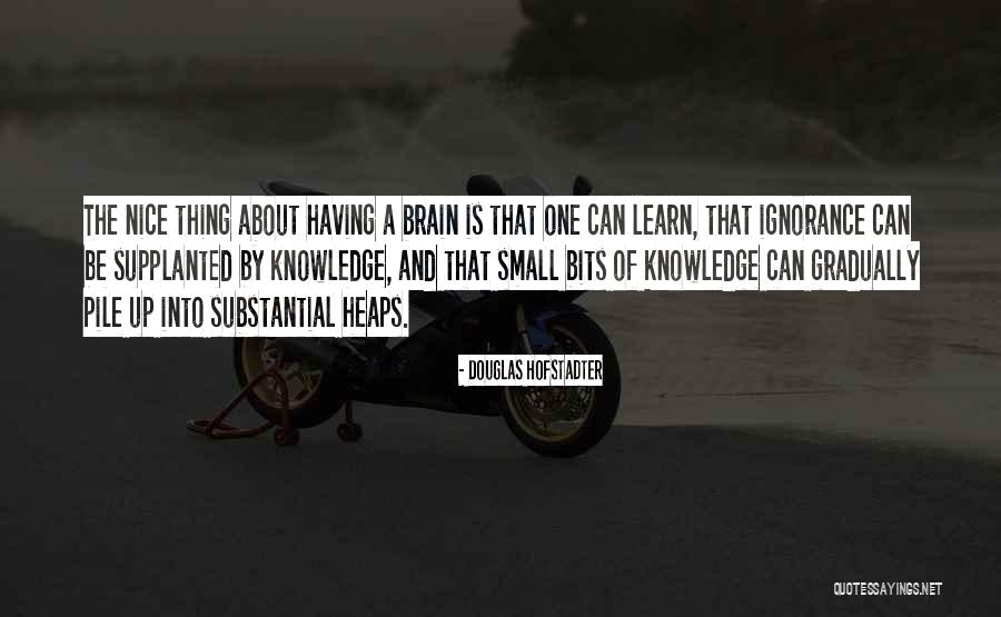 Small And Nice Quotes By Douglas Hofstadter Small And Nice Quotes By Douglas Hofstadter