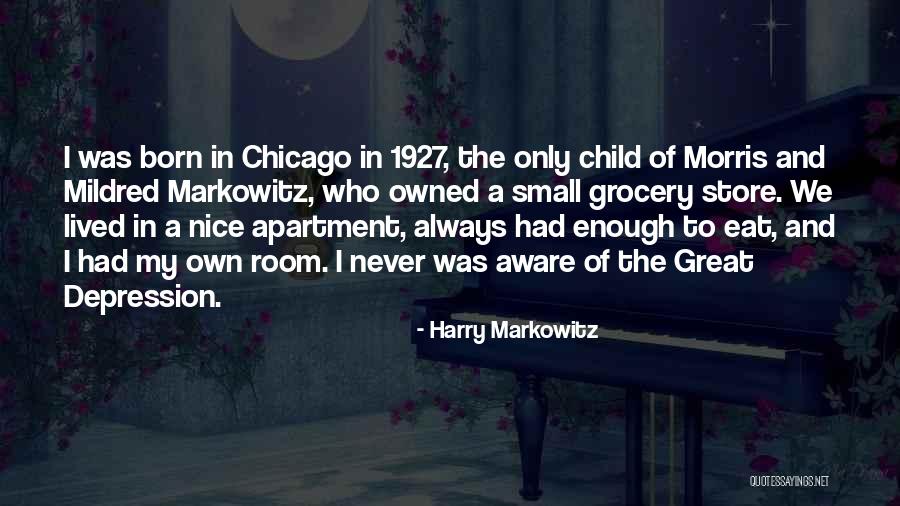 Small And Nice Quotes By Harry Markowitz