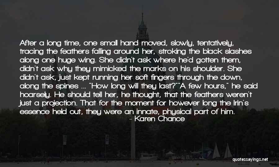 Small And Nice Quotes By Karen Chance Small And Nice Quotes By Karen Chance