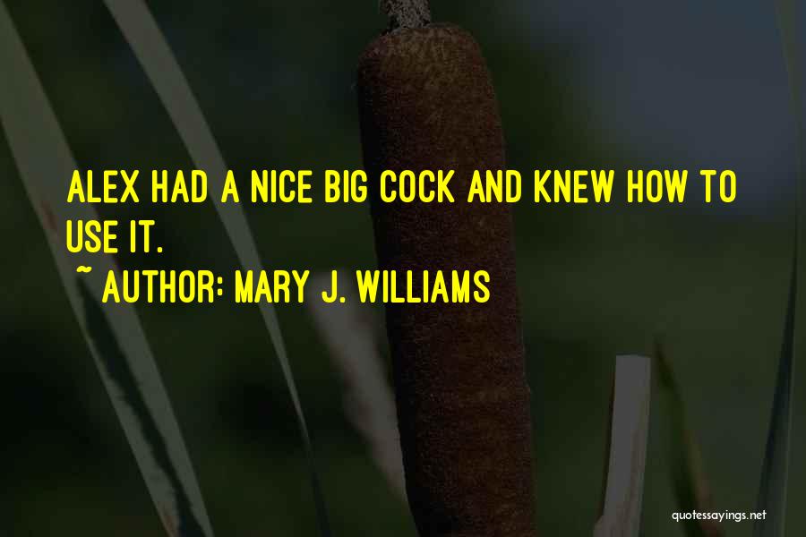 Small And Nice Quotes By Mary J. Williams