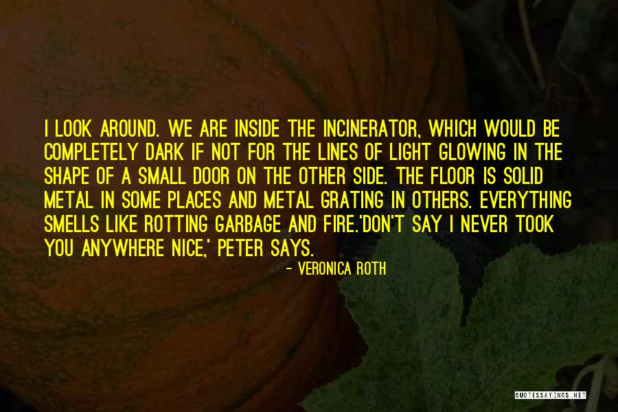 Small And Nice Quotes By Veronica Roth Small And Nice Quotes By Veronica Roth