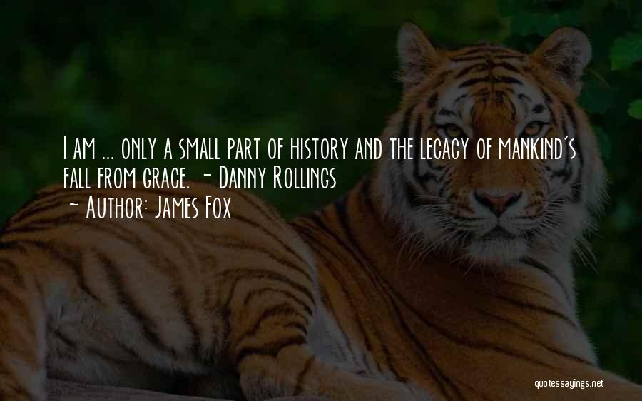 Small And Sad Quotes By James Fox