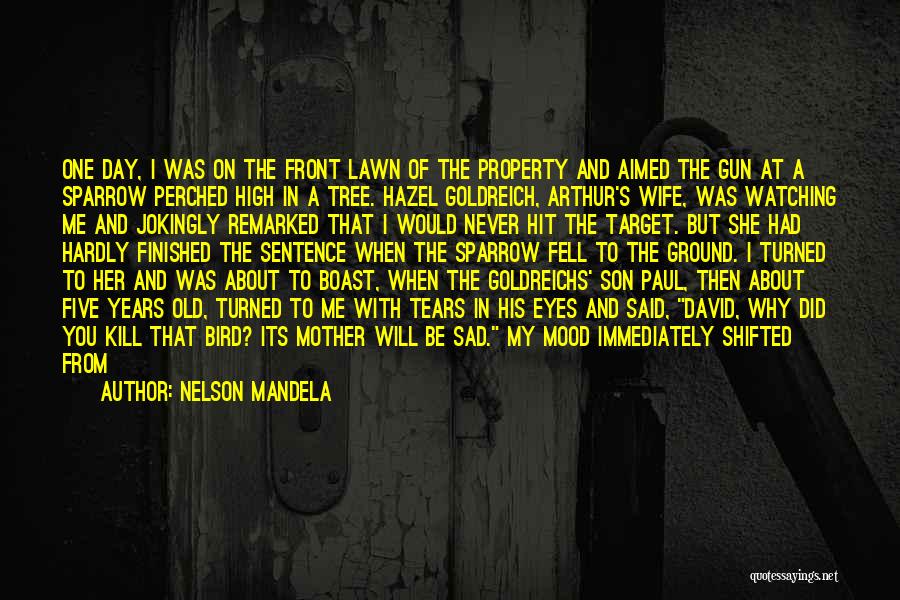 Small And Sad Quotes By Nelson Mandela