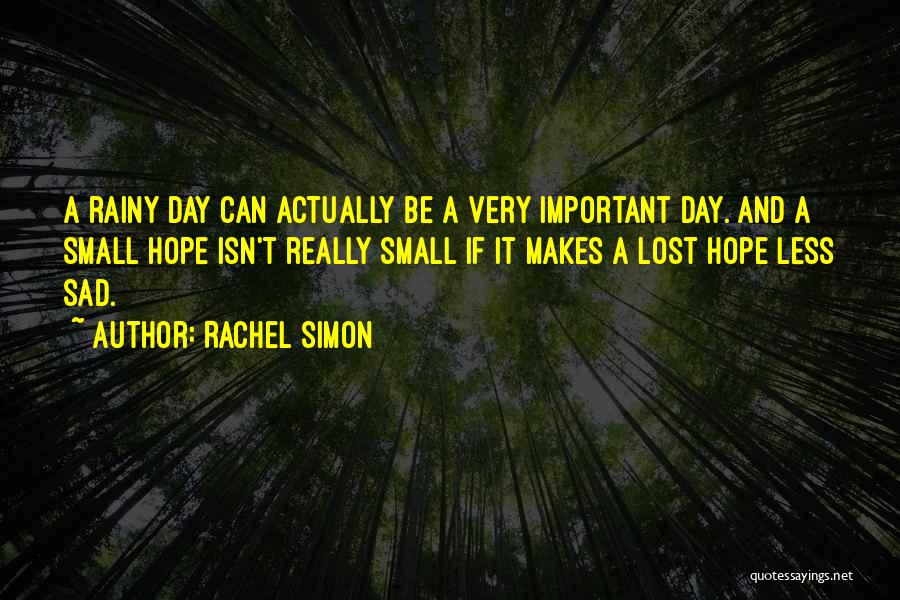 Small And Sad Quotes By Rachel Simon