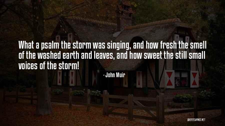 Small And Sweet Quotes By John Muir