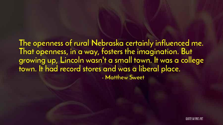 Small And Sweet Quotes By Matthew Sweet