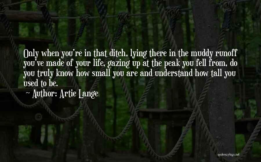 Small And Tall Quotes By Artie Lange