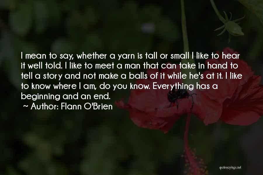 Small And Tall Quotes By Flann O'Brien