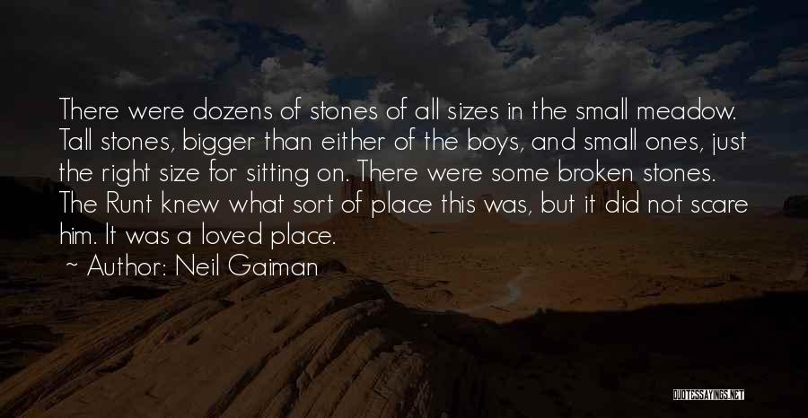 Small And Tall Quotes By Neil Gaiman