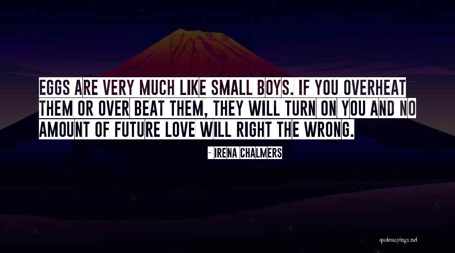 Small And Wrong Quotes By Irena Chalmers Small And Wrong Quotes By Irena Chalmers