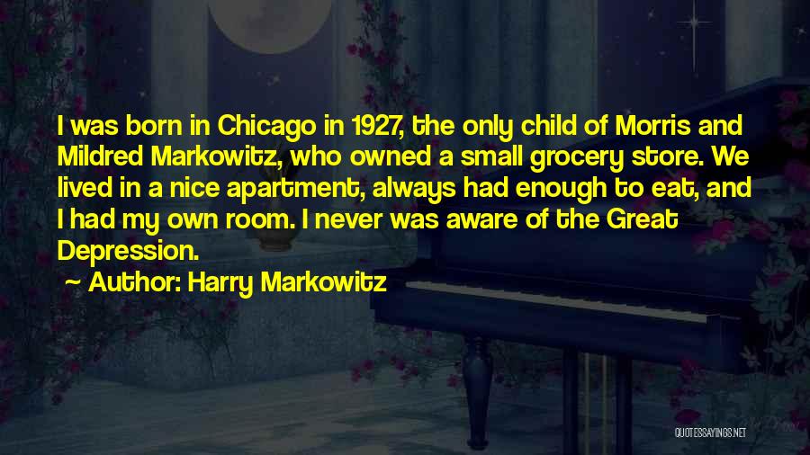 Small Apartment Quotes By Harry Markowitz