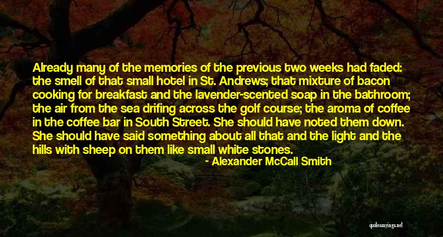 Small Bathroom Quotes By Alexander McCall Smith Small Bathroom Quotes By Alexander McCall Smith