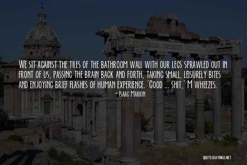 Small Bathroom Quotes By Isaac Marion Small Bathroom Quotes By Isaac Marion