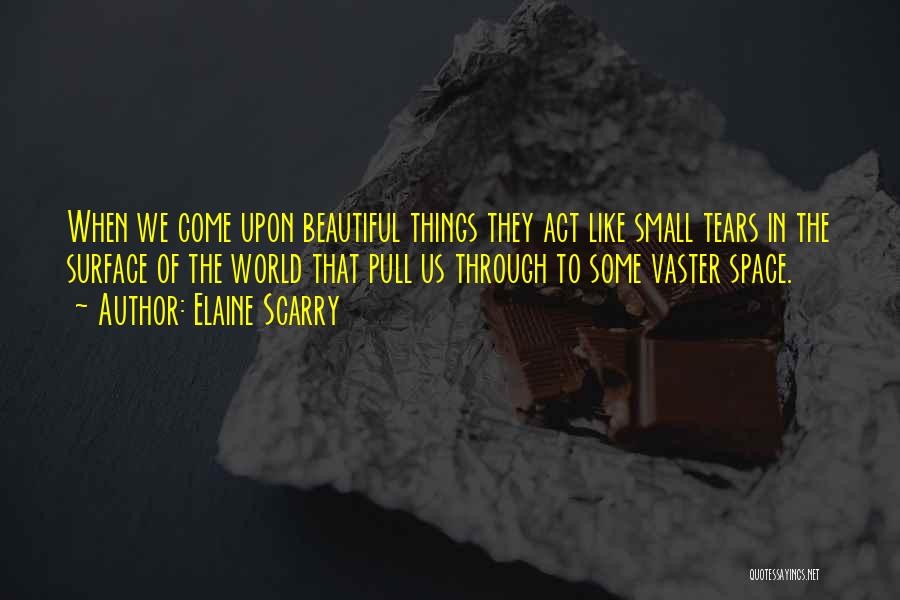 Small Beautiful Things Quotes By Elaine Scarry