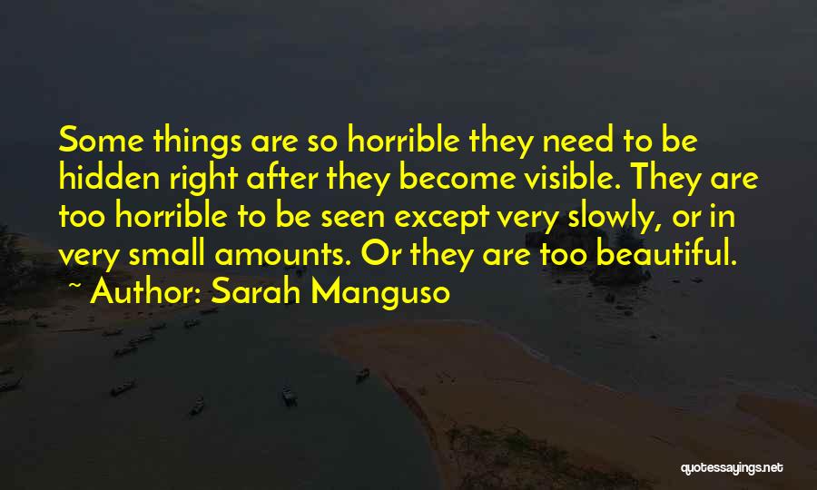 Small Beautiful Things Quotes By Sarah Manguso