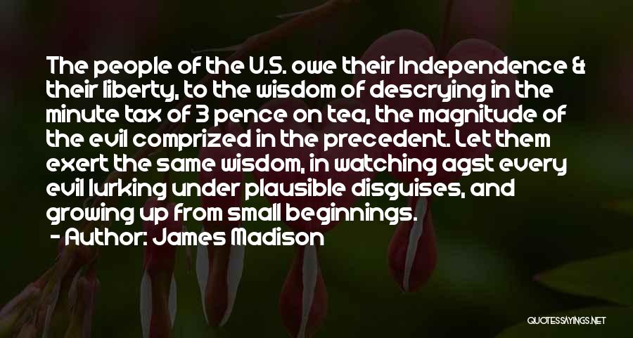 Small Beginnings Quotes By James Madison