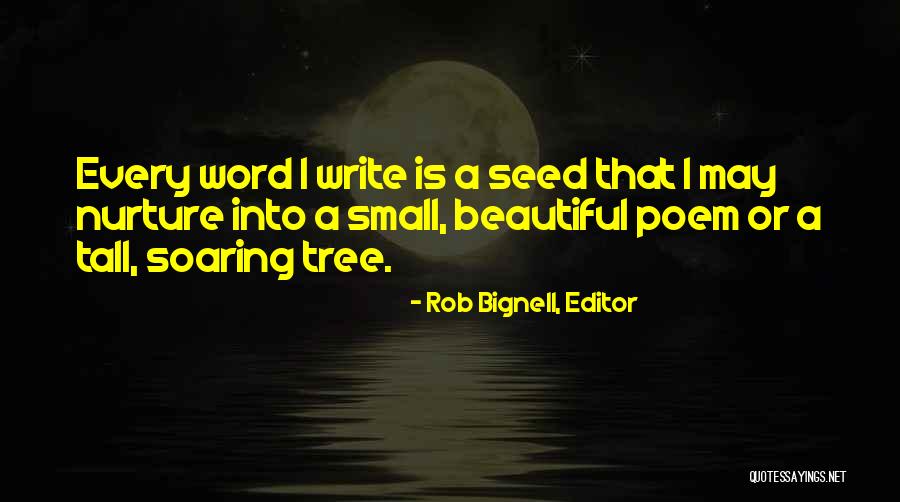 Small Block Quotes By Rob Bignell, Editor Small Block Quotes By Rob Bignell, Editor