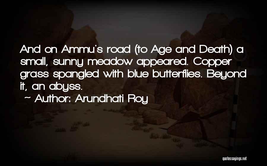 Small Blue Thing Quotes By Arundhati Roy