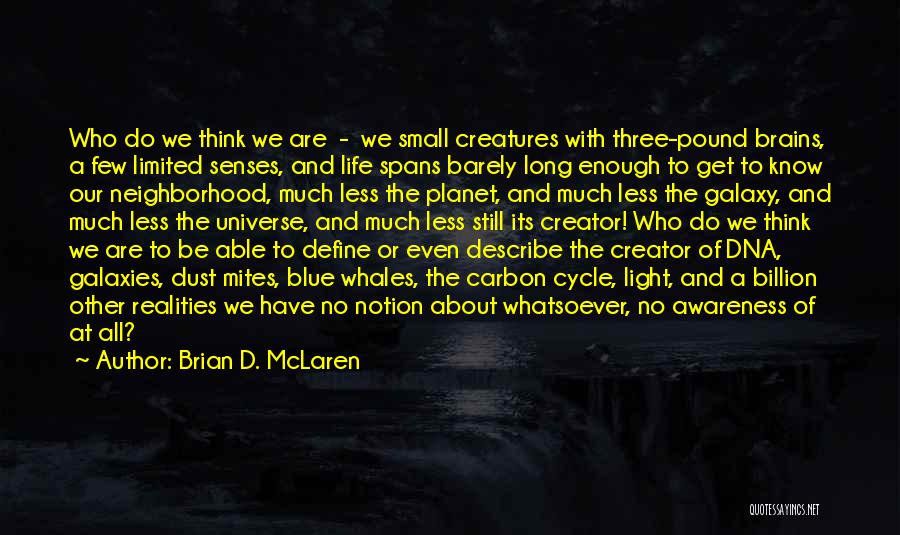 Small Blue Thing Quotes By Brian D. McLaren