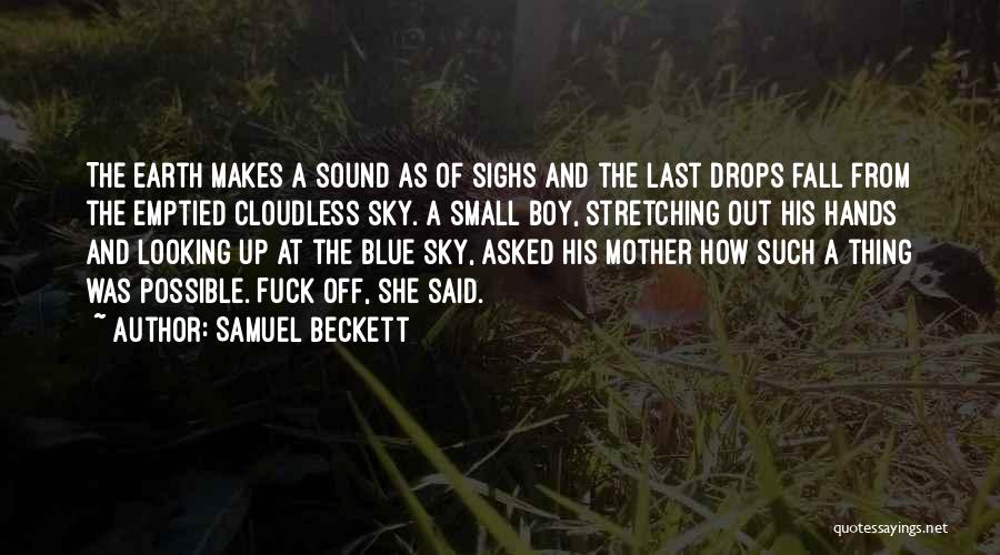 Small Blue Thing Quotes By Samuel Beckett