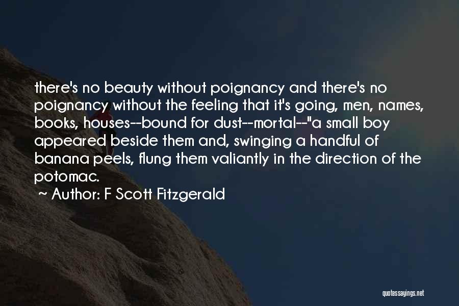 Small Books Of Quotes By F Scott Fitzgerald