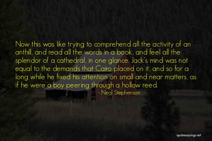 Small Boy Quotes By Neal Stephenson Small Boy Quotes By Neal Stephenson