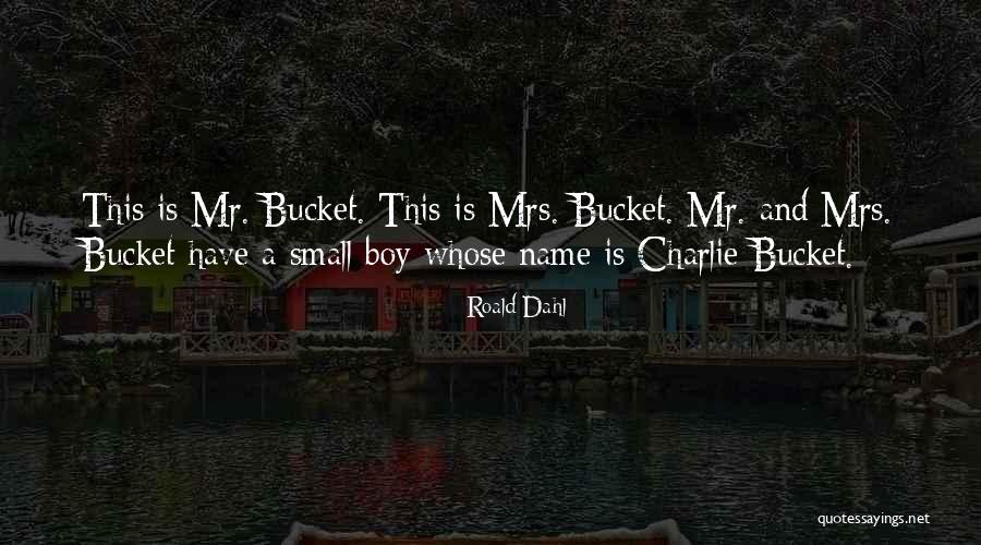Small Boy Quotes By Roald Dahl Small Boy Quotes By Roald Dahl