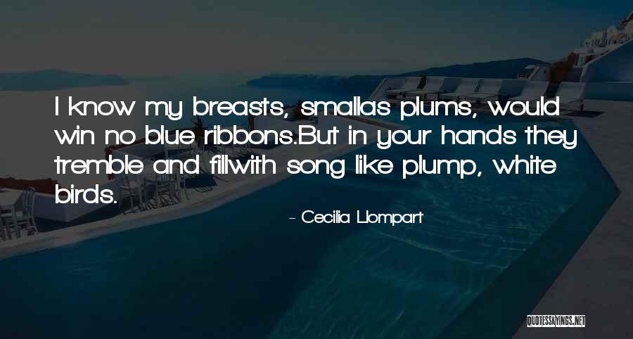 Small Breasts Quotes By Cecilia Llompart Small Breasts Quotes By Cecilia Llompart