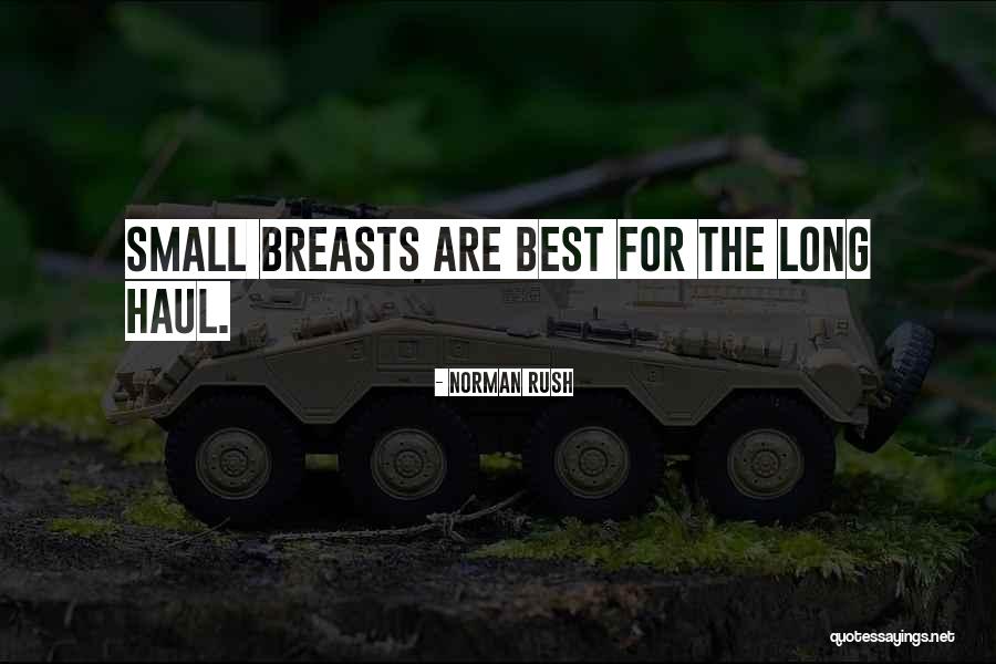 Small Breasts Quotes By Norman Rush Small Breasts Quotes By Norman Rush