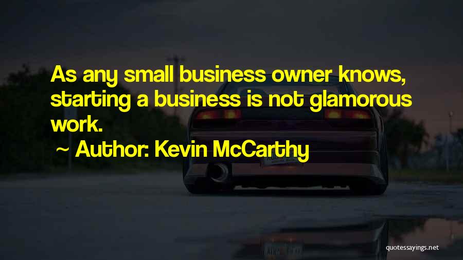 Small Business Owner Quotes By Kevin McCarthy