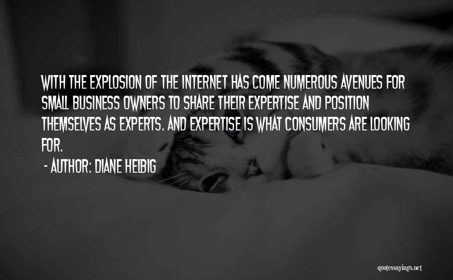 Small Business Owners Quotes By Diane Helbig