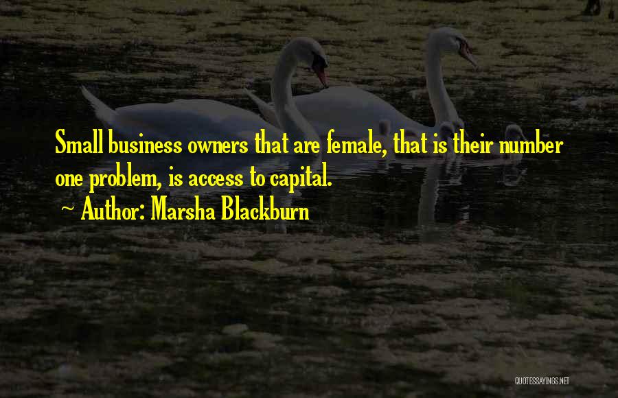 Small Business Owners Quotes By Marsha Blackburn