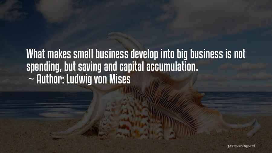 Small Business Vs Big Business Quotes By Ludwig Von Mises