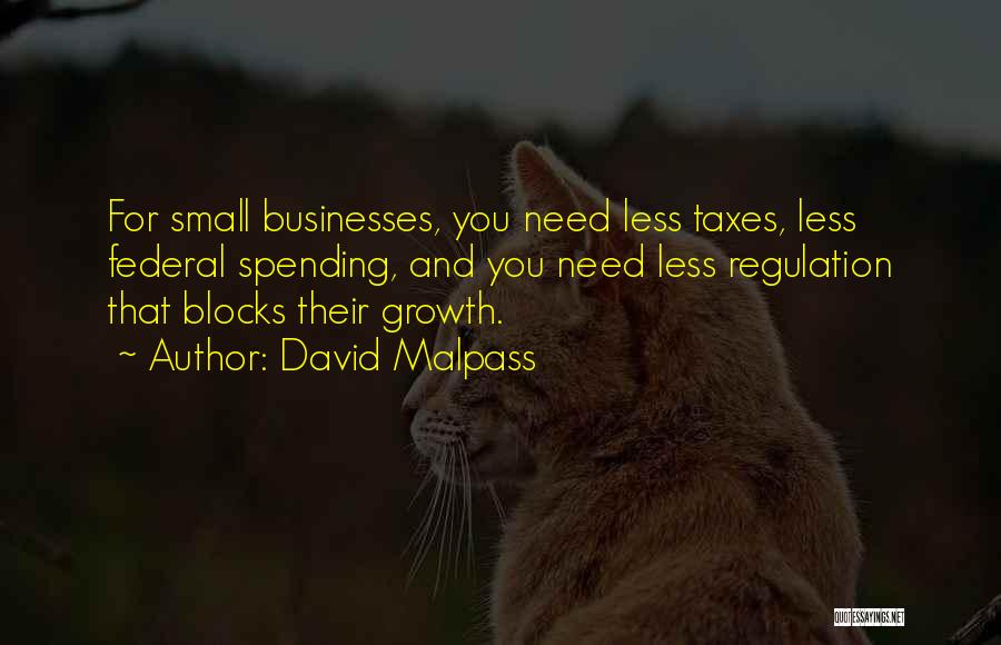 Small Businesses Quotes By David Malpass