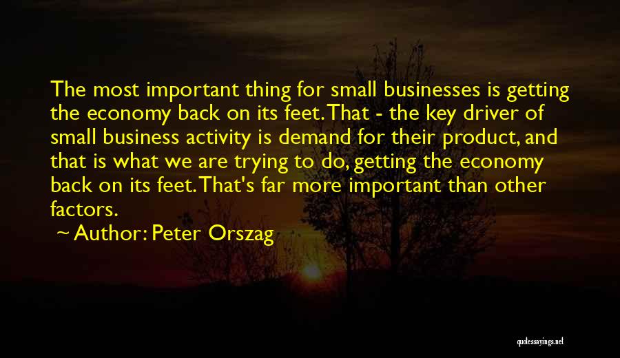 Small Businesses Quotes By Peter Orszag