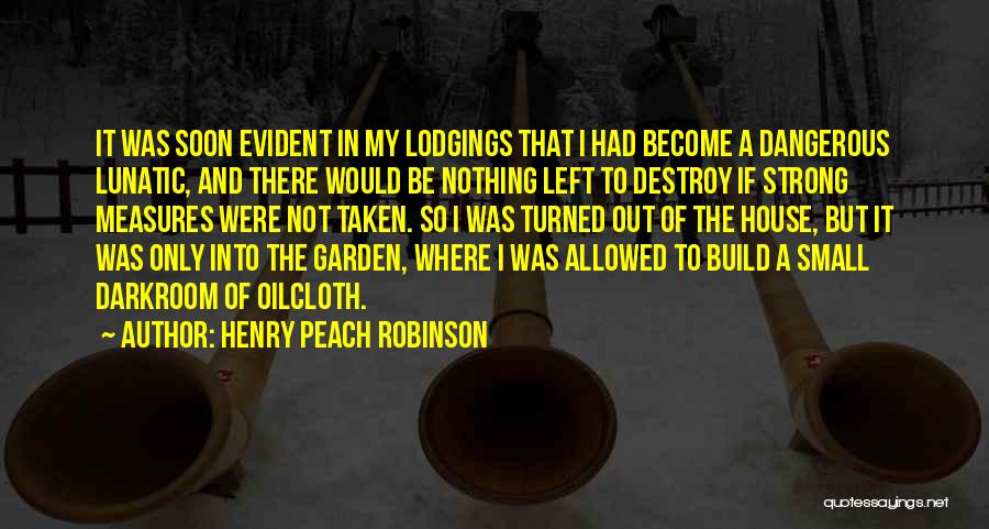 Small But Dangerous Quotes By Henry Peach Robinson