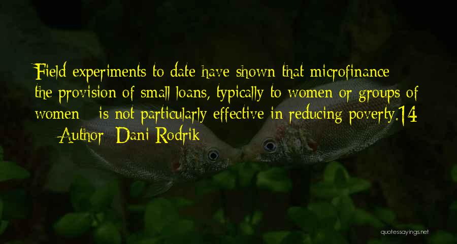 Small But Effective Quotes By Dani Rodrik