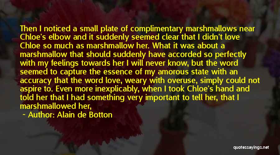 Small But Important Quotes By Alain De Botton