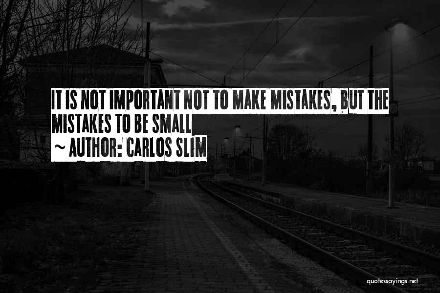 Small But Important Quotes By Carlos Slim