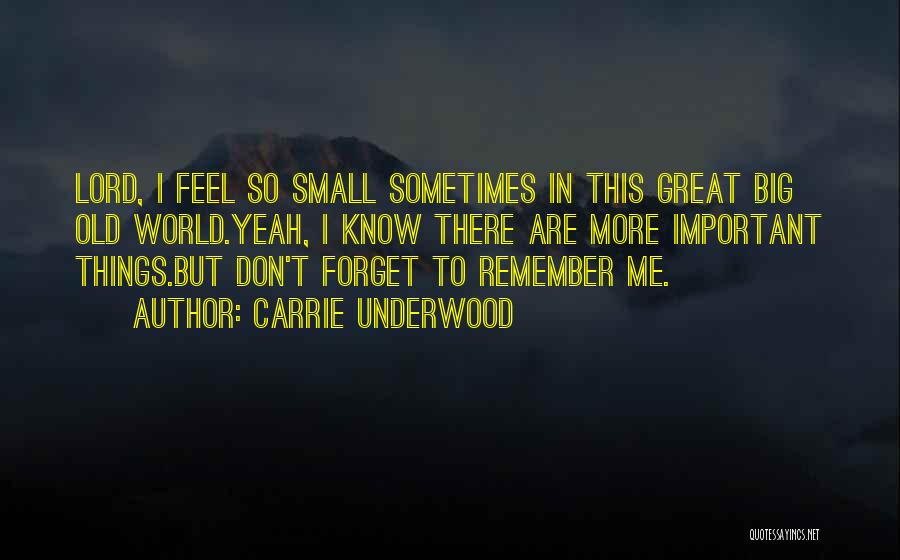 Small But Important Quotes By Carrie Underwood