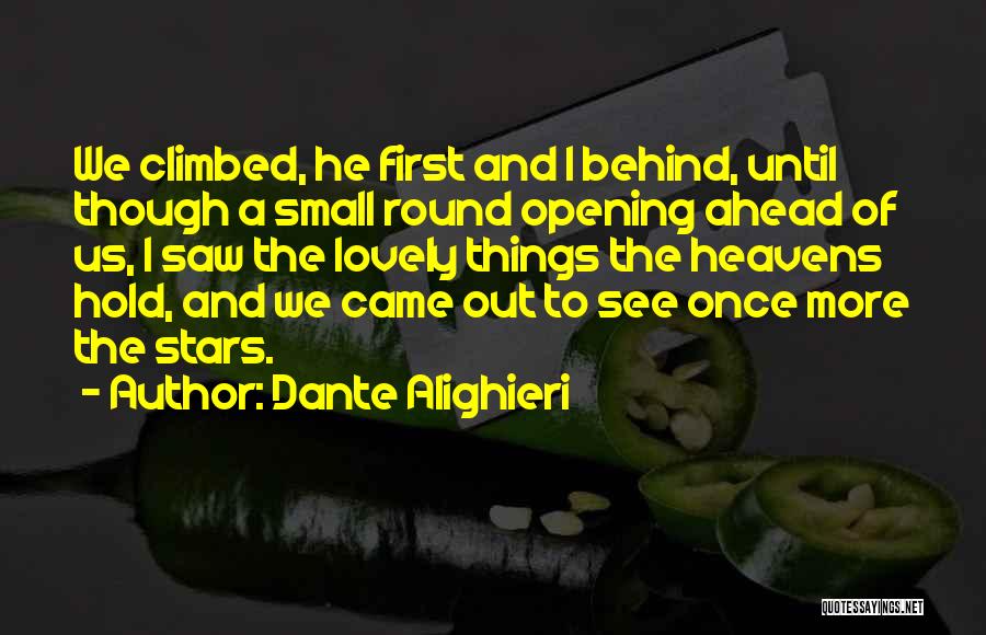 Small But Lovely Quotes By Dante Alighieri