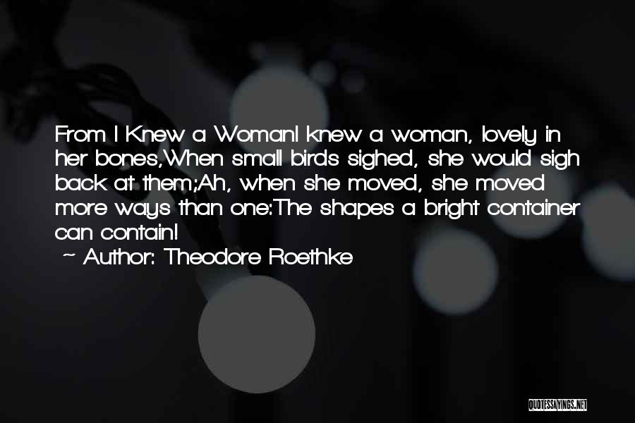 Small But Lovely Quotes By Theodore Roethke