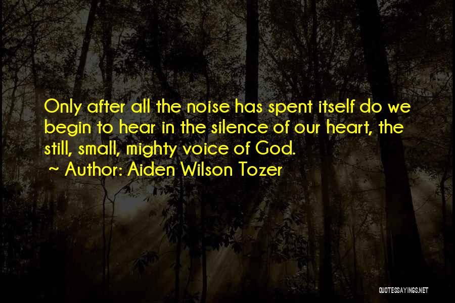 Small But Mighty Quotes By Aiden Wilson Tozer