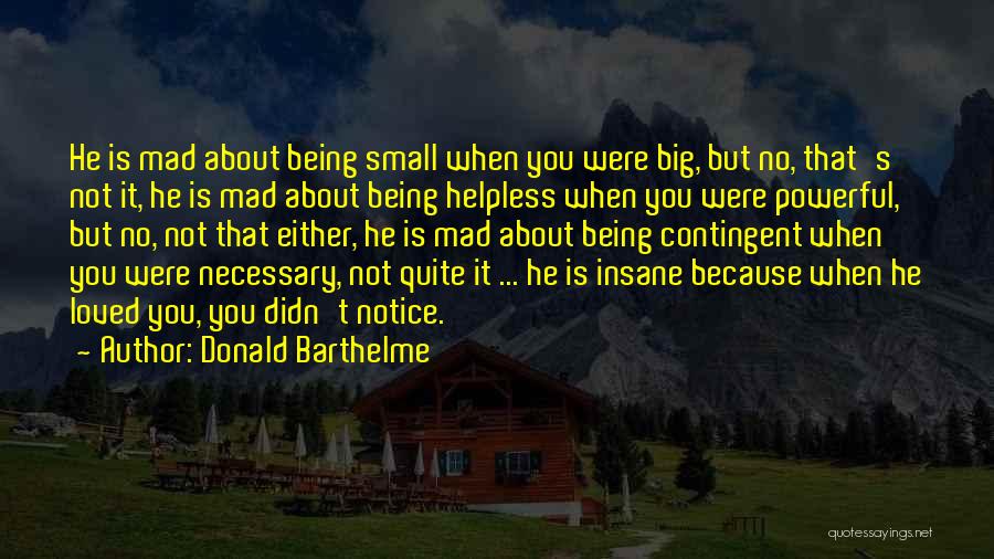 Small But Powerful Quotes By Donald Barthelme