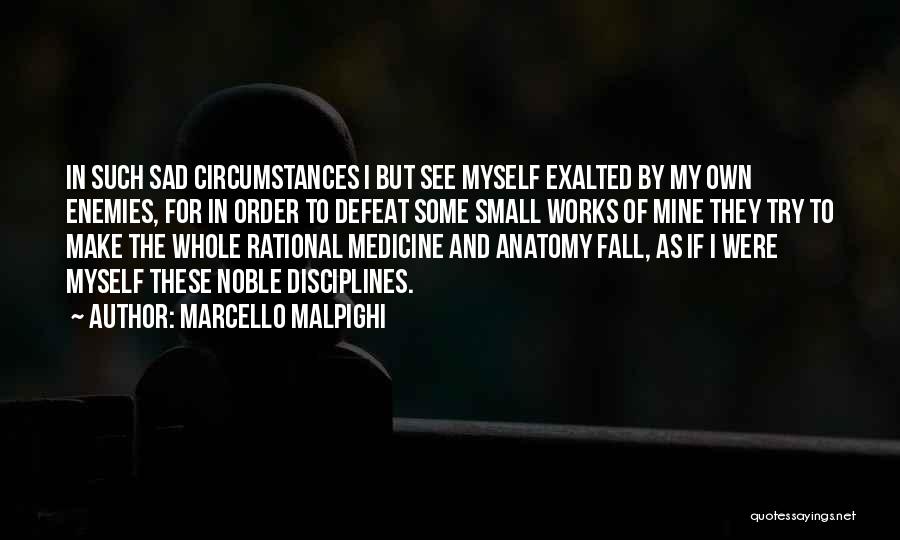 Small But Sad Quotes By Marcello Malpighi